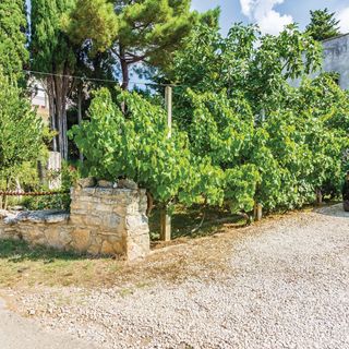 Apartman Premantura - CIA336 (4)