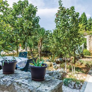 Apartman Premantura - CIA336 (5)