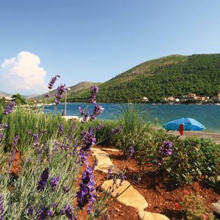 Apartman Grebaštica - CDV664 (2)