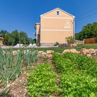 Vendégház Grižane-Belgrad - CKC844 (5)