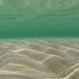 Apartman Privlaka - CDZ020 (3)