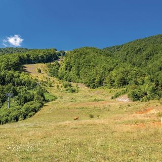 Apartman Ogulin - CCC019 (5)