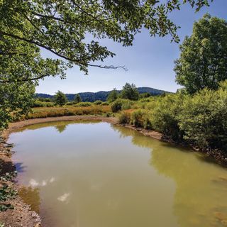 Apartman Ogulin - CCC020 (4)