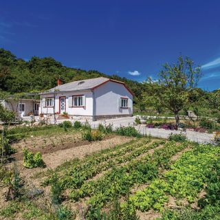 Vendégház Kampor - CKR581 (3)