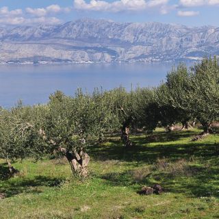 Vendégház Postira - CDB396 (3)