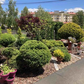 Lola Apartmanház Zalakaros (4)