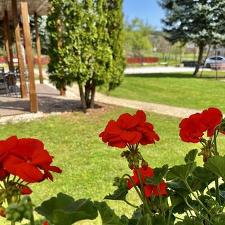 Harmónia Faházak Bogács (5)