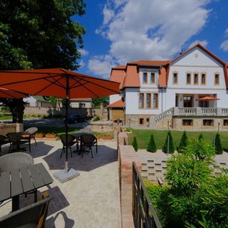 Lauber Villa Pécs (3)