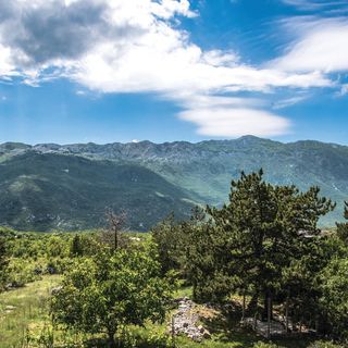 Apartman Zagvozd - CDF448 (5)