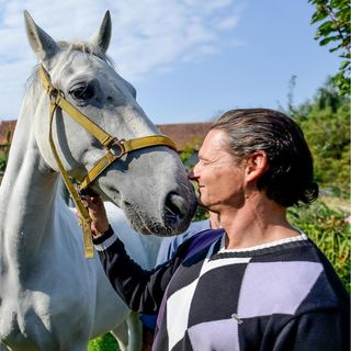 Vendégház Seketin - CCC076 (5)