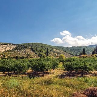 Vendégház Postira - CDB544 (4)