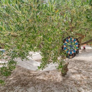 Vendégház Postira - CDB544 (5)