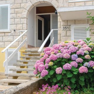 Apartman Račišće - CDS042 (5)