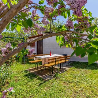 Vendégház Premantura - CIA212 (5)