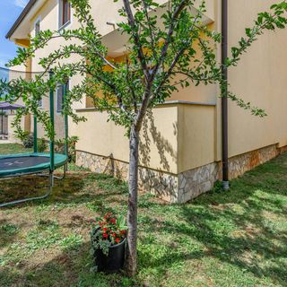 Vendégház Pula - CIP696 (4)