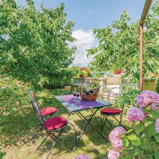 Apartman Vodnjan - CIL816 (2)