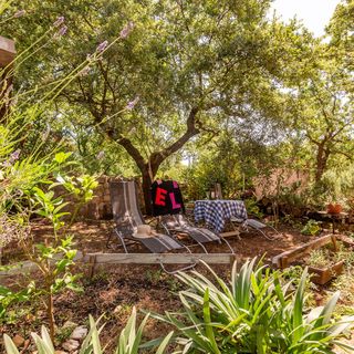 Apartman Potočnica - CKP393 (3)