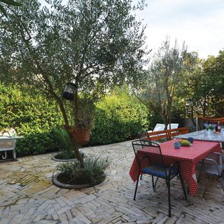 Apartman Stari Grad - CDH538 (5)