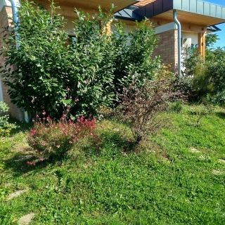 Edina Vendégház Gyenesdiás (4)