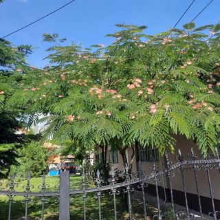 Kisfaludy Vendégház Abádszalók (3)