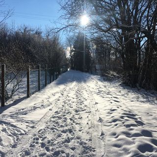 Csillagles Vendégház Mátraszentlászló (2)