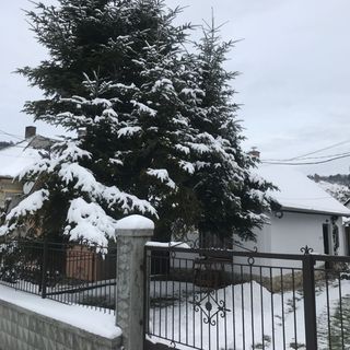 Korkóstoló Vendégházak Aggtelek (4)