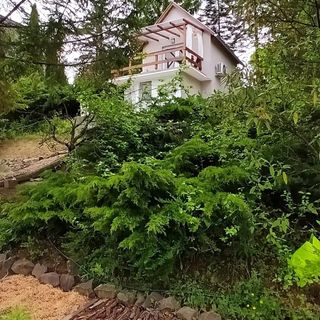 Kettecskén Vendégház Zebegény (2)