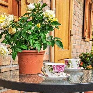 Vendégház Wejherowo - PPO738 (3)