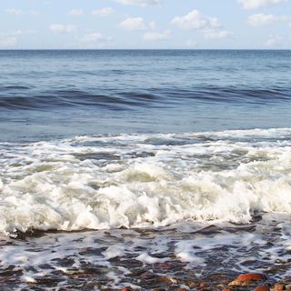 Vendégház Rewal - PPO771 (4)