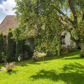 Vendégház Lidzbark Warmiński - PMA548 (5)