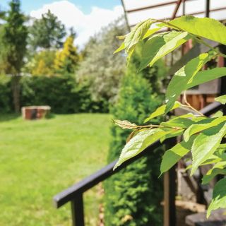 Vendégház Olsztynek - PMA156 (3)