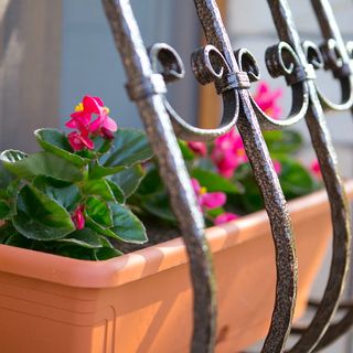 Forrás Apartman Eger (3)