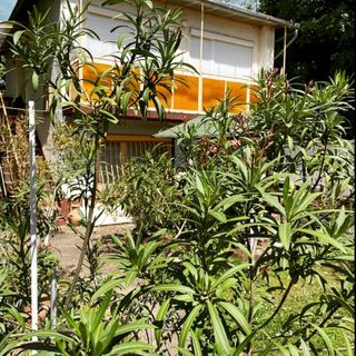 Elizabeth Apartman Hajdúszoboszló (3)