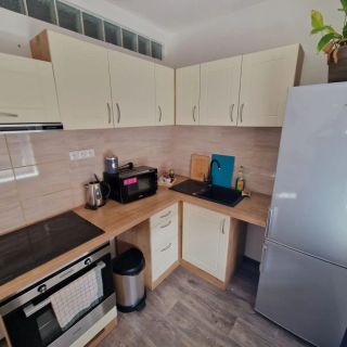 Vila Singles Litoměřice (4)
