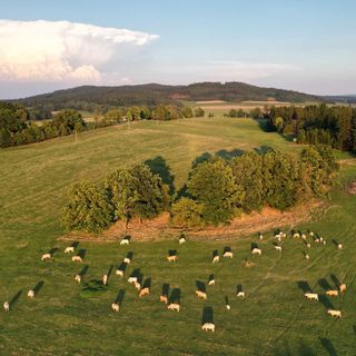 Apartmány Slepička a Kohoutek Nové Hrady (4)