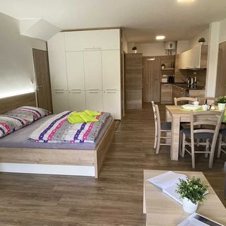 Apartmány WELLNESS Vlčková (5)