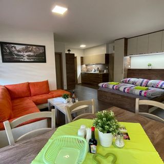 Apartmány WELLNESS Vlčková (3)