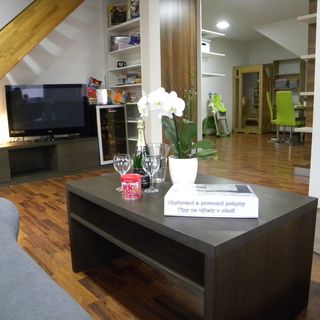 Apartmány WELLNESS Vlčková (4)