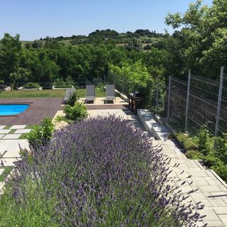 ZiMo MoZiHáz Taliándörögd (5)