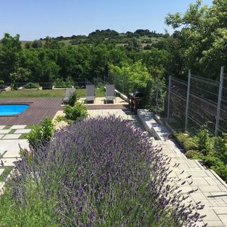 ZiMo MoZiHáz Taliándörögd (5)