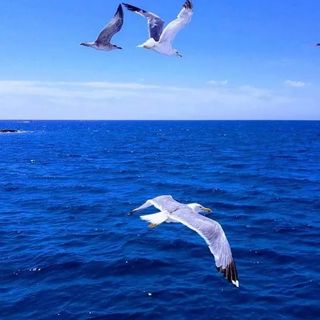 Villa Meri Poreč (3)