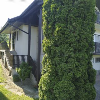 Marika Apartmanok Zalakaros (3)