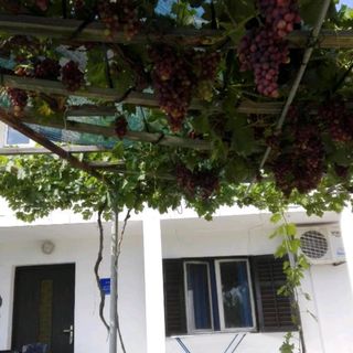 Apartman Tomić Rtina (5)