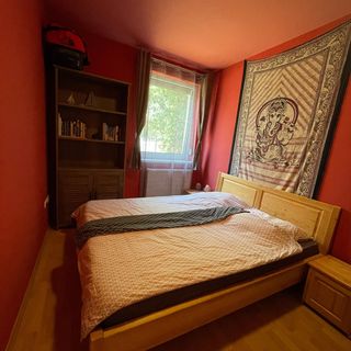 Pippo Summer Home Apartman Siófok (3)