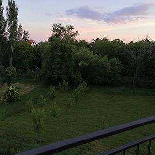 Fecske Apartman Csopak (5)