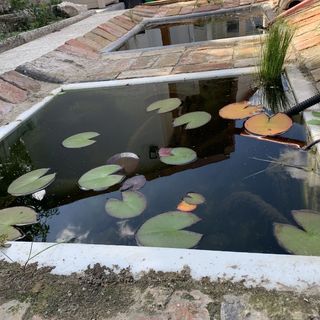 Viki Apartmanház Dorog (3)