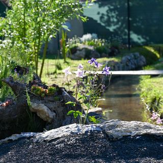 Patak-Parti Pihenő Vászoly (3)