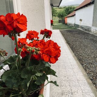 Lóca Vendégház II Parád (2)