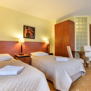 Willa Pod Gwiazdami Kudowa-Zdrój (3)