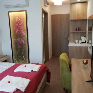 Villa Heuréka****Agárd (4)